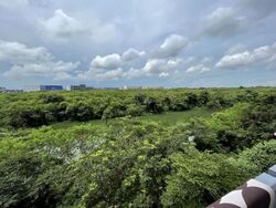 Kingsford Waterbay (D19), Apartment #565057901